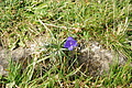 DSC04821 - Bernhard Saalfeld