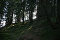 DSC04826 - Bernhard Saalfeld
