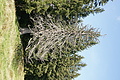 DSC04828 - Bernhard Saalfeld