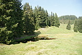 DSC04829 - Bernhard Saalfeld