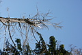 DSC04832 - Bernhard Saalfeld