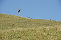 DSC04836 - Bernhard Saalfeld