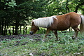 DSC04846 - Bernhard Saalfeld