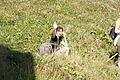 DSC04861 - Bernhard Saalfeld