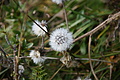 DSC04898 - Bernhard Saalfeld