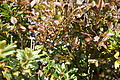 DSC04899 - Bernhard Saalfeld