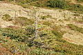 DSC04901 - Bernhard Saalfeld