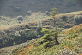 DSC04902 - Bernhard Saalfeld