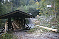 DSC04923 - Bernhard Saalfeld