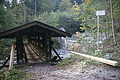 DSC04924 - Bernhard Saalfeld