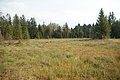 DSC04927 - Bernhard Saalfeld