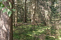 DSC04929 - Bernhard Saalfeld
