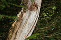 DSC04933 - Bernhard Saalfeld