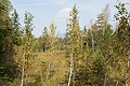 DSC04934 - Bernhard Saalfeld