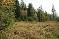 DSC04936 - Bernhard Saalfeld