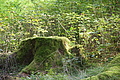 DSC04938 - Bernhard Saalfeld