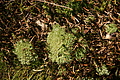 DSC04940 - Bernhard Saalfeld