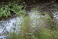 DSC04941 - Bernhard Saalfeld