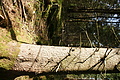 DSC04942 - Bernhard Saalfeld
