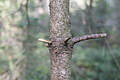 DSC04946 - Bernhard Saalfeld