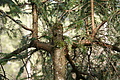 DSC04947 - Bernhard Saalfeld