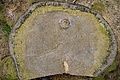 DSC04950 - Bernhard Saalfeld