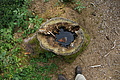 DSC04953 - Bernhard Saalfeld