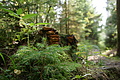 DSC04955 - Bernhard Saalfeld