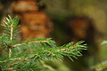 DSC04956 - Bernhard Saalfeld