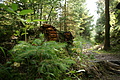 DSC04957 - Bernhard Saalfeld