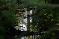 DSC04961 - Bernhard Saalfeld