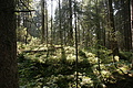 DSC04962 - Bernhard Saalfeld
