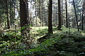 DSC04966 - Bernhard Saalfeld