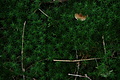 DSC04968 - Bernhard Saalfeld