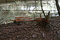 DSC04973 - Bernhard Saalfeld