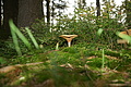 DSC04977 - Bernhard Saalfeld