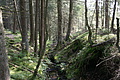 DSC04978 - Bernhard Saalfeld