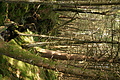 DSC04981 - Bernhard Saalfeld