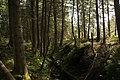 DSC04982 - Bernhard Saalfeld