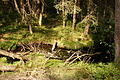 DSC04986 - Bernhard Saalfeld