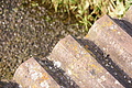 DSC04991 - Bernhard Saalfeld