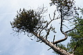 DSC04992 - Bernhard Saalfeld