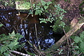 DSC04994 - Bernhard Saalfeld