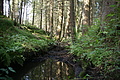 DSC04995 - Bernhard Saalfeld