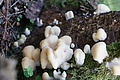 DSC04999 - Bernhard Saalfeld