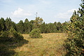 DSC05001 - Bernhard Saalfeld