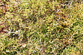 DSC05002 - Bernhard Saalfeld
