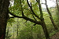 DSC05007 - Bernhard Saalfeld