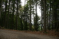 DSC05013 - Bernhard Saalfeld