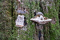 DSC05018 - Bernhard Saalfeld